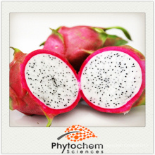 Fruit part extraction Pitaya Extract or Dragonfruit powder 4 to 1